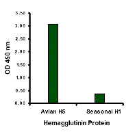 Avian Influenza Hemagglutinin Antibody