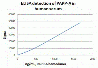 PAPP-A Antibody [A1]