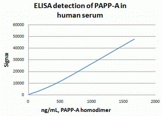 PAPP-A Antibody [C1]