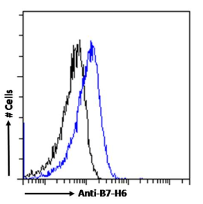 B7-H6 Antibody [17B1.3], Rabbit IgG