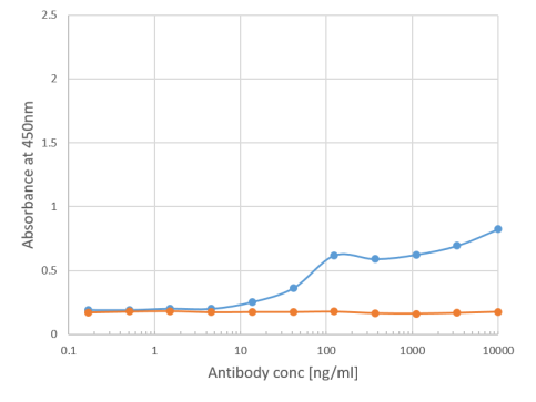 Bet v 1 Antibody [M0418], Rabbit IgG