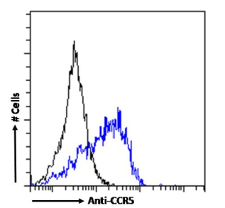 CCR5 Antibody [T21/8], Rabbit IgG