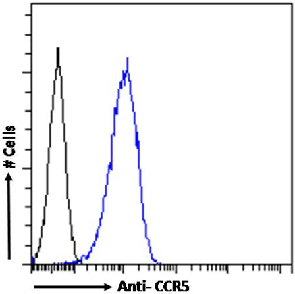 CCR5 (phosphoserine 337) Antibody [V14/2], Rabbit IgG