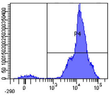 CD11a Antibody [hu1124 (Efalizumab)], Rabbit IgG - Research Grade Biosimilar