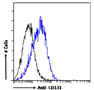 CD131 Antibody [BION-1], Rabbit IgG
