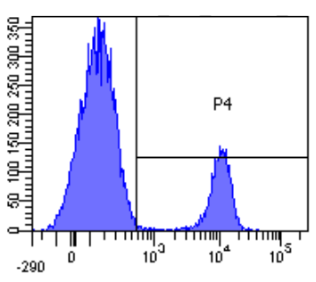CD19 Antibody [HD37], Rabbit IgG