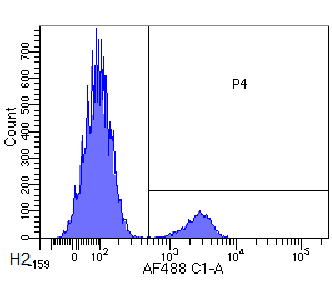 CD22 Antibody [hL22 (Epratuzumab)], Rabbit IgG - Research Grade Biosimilar