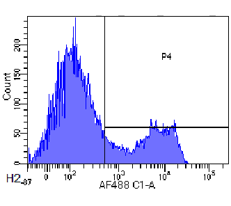 CD3 epsilon Antibody [500A2], Rabbit IgG