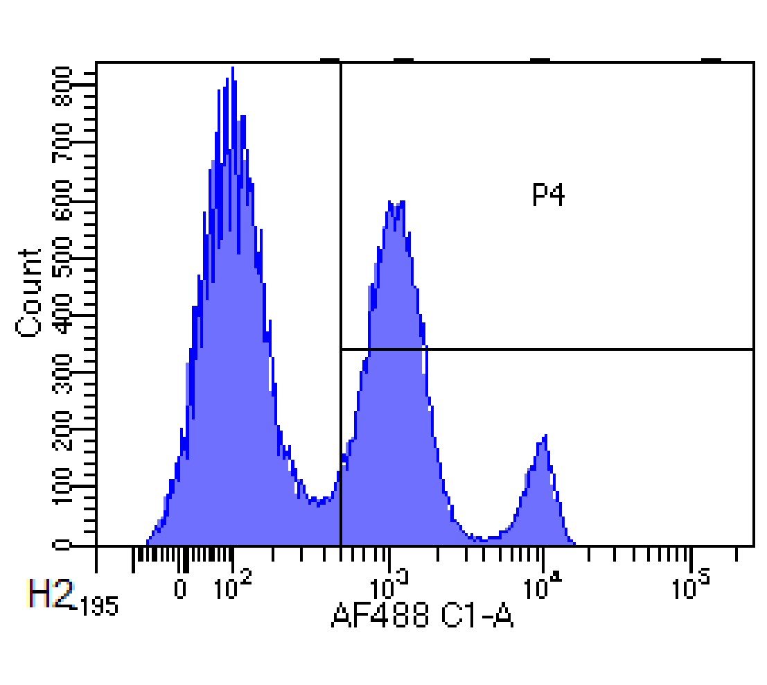 CD33 Antibody [hP67.6 (Gemtuzumab)], Rabbit IgG - Research Grade Biosimilar