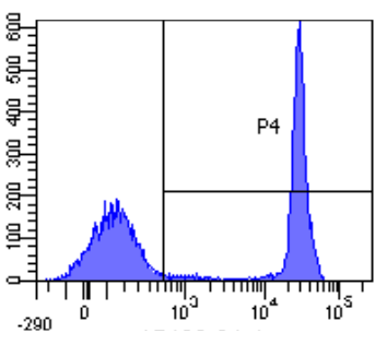 CD4 Antibody [CE9.1 (Clenoliximab)], Rabbit IgG - Research Grade Biosimilar