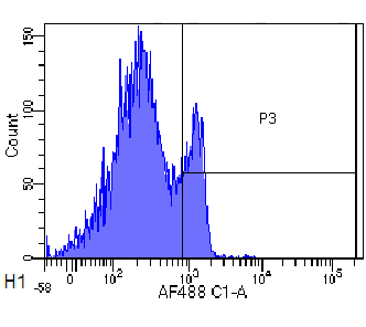 CD4 Antibody [MT310], Rabbit IgG