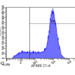 <b> Flow-cytometry using anti-CD44 antibody Hermes-1 (</b> Human activated T lymphocytes were stained with an isotype control (3.0- panel A) or the rmeric version of Hermes-1 (24-447- panel B) at a concentration of 1 ug/ml for 30 mins at RT. After washing- bound antibody was detected using a AF488 conjugated donkey anti-ribody ( and cells analysed on a FACSCanto flow-cytometer.