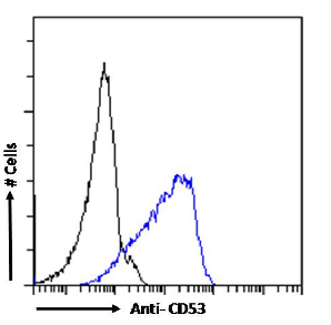 CD53 Antibody [HD77], Rabbit IgG