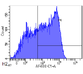 CD62L Antibody [MEL-14], Rabbit IgG