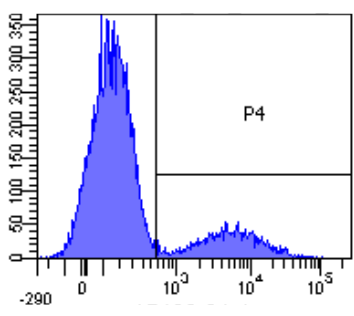CD79a Antibody [ZL7-4], Rabbit IgG