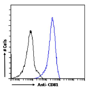 CD81 Antibody [1.3.3.22], Rabbit IgG