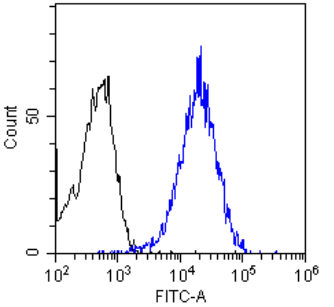 EGFR Antibody [Matuzumab], Rabbit IgG - Research Grade Biosimilar