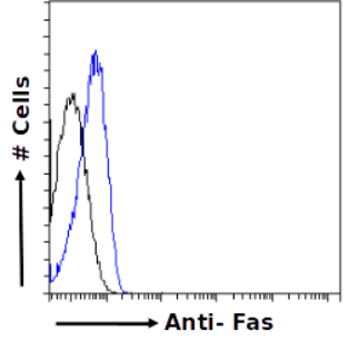 Fas Antibody [R-125224], Rabbit IgG