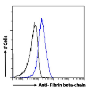 Fibrin beta-chain Antibody [8E5], Rabbit IgG