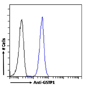 GSTP1 Antibody [SAIC-22D-22], Rabbit IgG