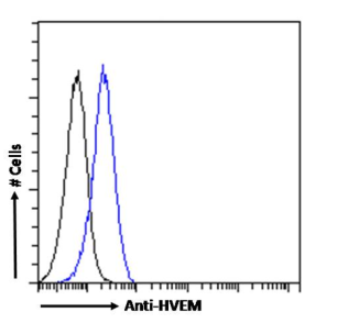HVEM Antibody [HMHV-1B18], Rabbit IgG