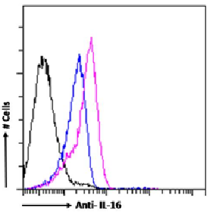 IL-16 Antibody [14.1], Rabbit IgG