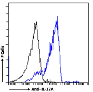 IL-17A Antibody [MM17F3], Rabbit IgG