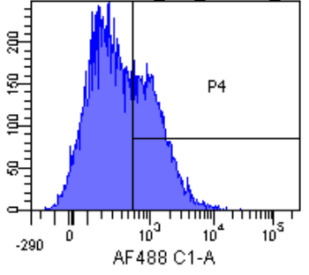 IL-2R Antibody [Daclizumab], Rabbit IgG - Research Grade Biosimilar