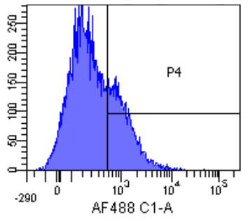 IL-2R alpha (CD25) Antibody [Basiliximab], Rabbit IgG - Research Grade Biosimilar