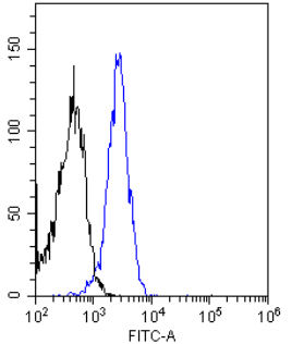Insulin Receptor alpha Antibody [83-14], Rabbit IgG