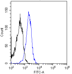 Insulin receptor alpha Antibody [83-7], Rabbit IgG