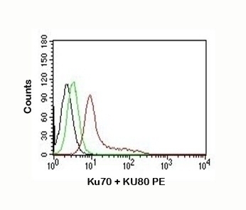 Ku70 + Ku80 Antibody [KU729]