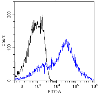 MUC1 Antibody [HMFG2], Rabbit IgG