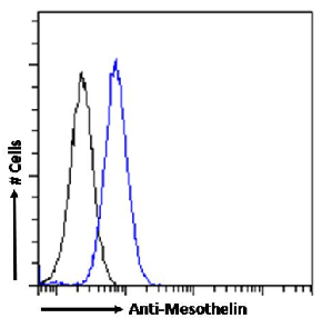 Mesothelin Antibody [IC14-30], Rabbit IgG