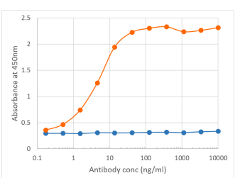 PD-L2 Antibody [TY25], Rabbit IgG