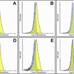 Flow cytometry analysis of PD-L2 overexpressing HEK293 cells using (A) RF16021, (B) RF16022, (C) RF16023, (D) RF16024, (E) RF16025, and (F) control mouse IgG antibody at 10 μg/ml.  Blue:  Untransfected HEK293 cells.  Yellow:  PD-L2 overexpressing HEK293 cells.