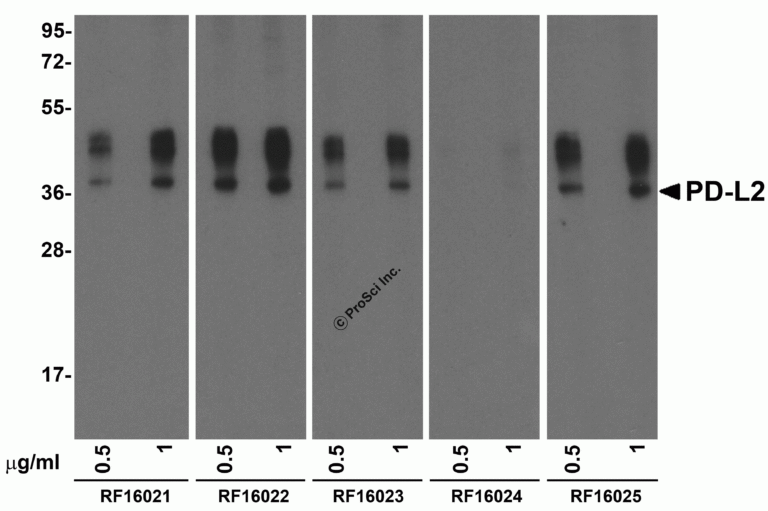 PDL2 Detection Set (Risk Free)