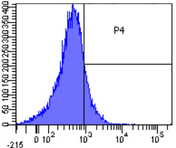 PDL1 Antibody [YDC 127.1.1], Rabbit IgG