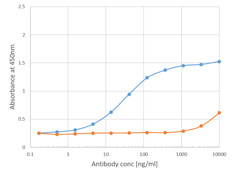 Phl p 1 Antibody [Clone 25], Human IgE