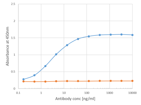 Phl p 1 Antibody [Clone 25], Rabbit IgG