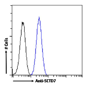 SETD7 Antibody [RAB-C220], Rabbit IgG