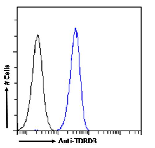 TDRD3 Antibody [RAB-C419], Rabbit IgG