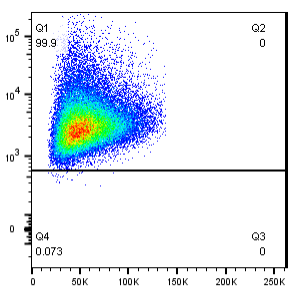 TRP-1, gp75 Antibody [TA99], Rabbit IgG