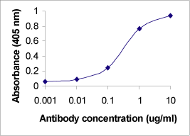 APOB Antibody