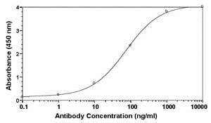 IL8 Antibody