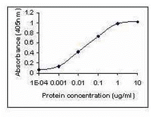 Pyy Antibody - Cat. No. XW-8112 | ProSci