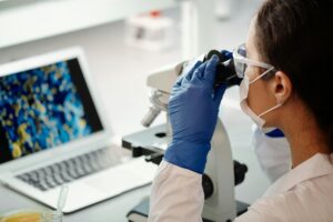 Understanding Primary Antibodies: The Foundation of Reliable Research
