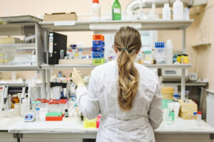 What is Western Blot Protocol?