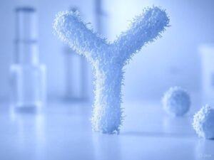 Harnessing Super-Strong Antibodies to Revolutionize Cancer Immunotherapy