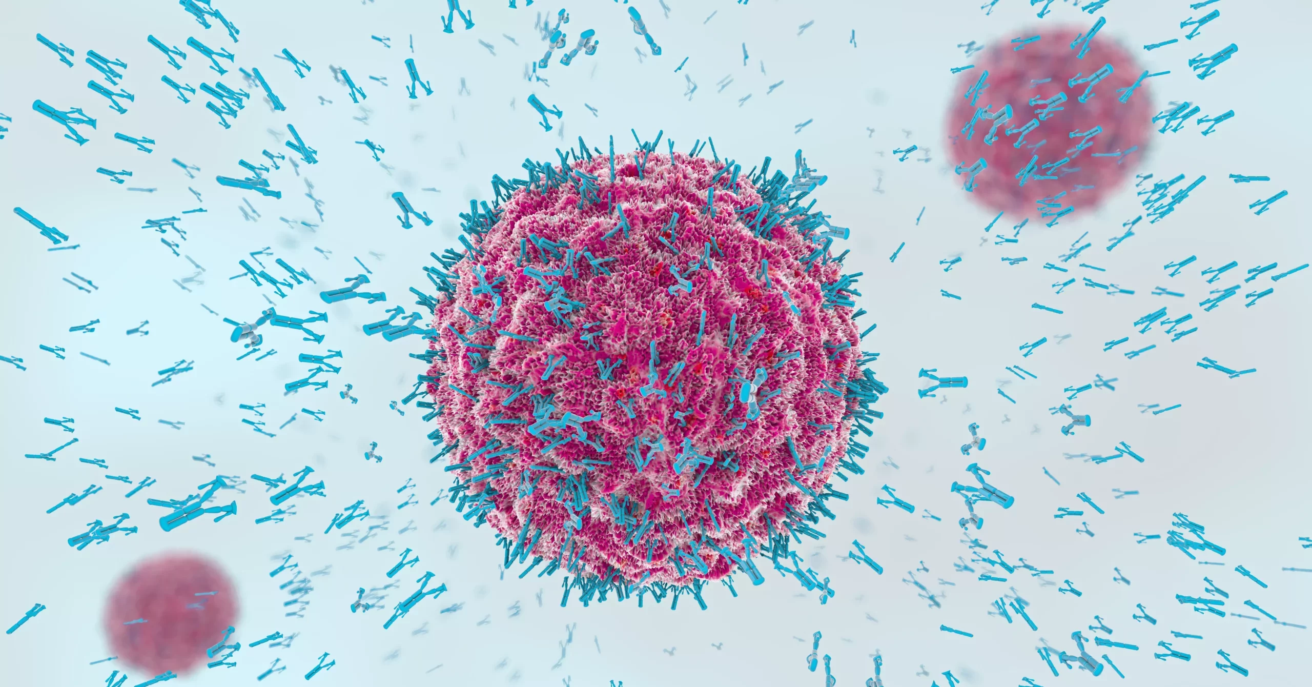 Antibodies visualization